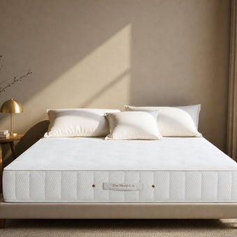 The Haven Memory Soft