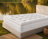 The Mayfair Pillow Top Soft