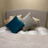 Clearance Snoozer Bed frame 5’0 Siena Dusk Oak Legs